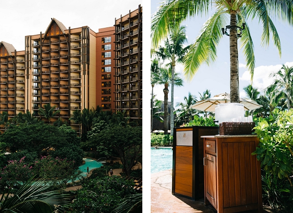 Disney Aulani towers and water station