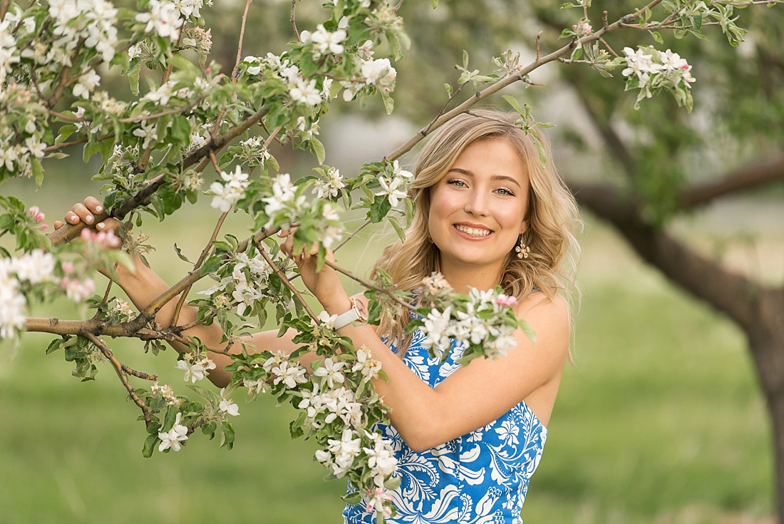Amanda Nelson Photography | Girl in blue floral dress standing by apple blossoms