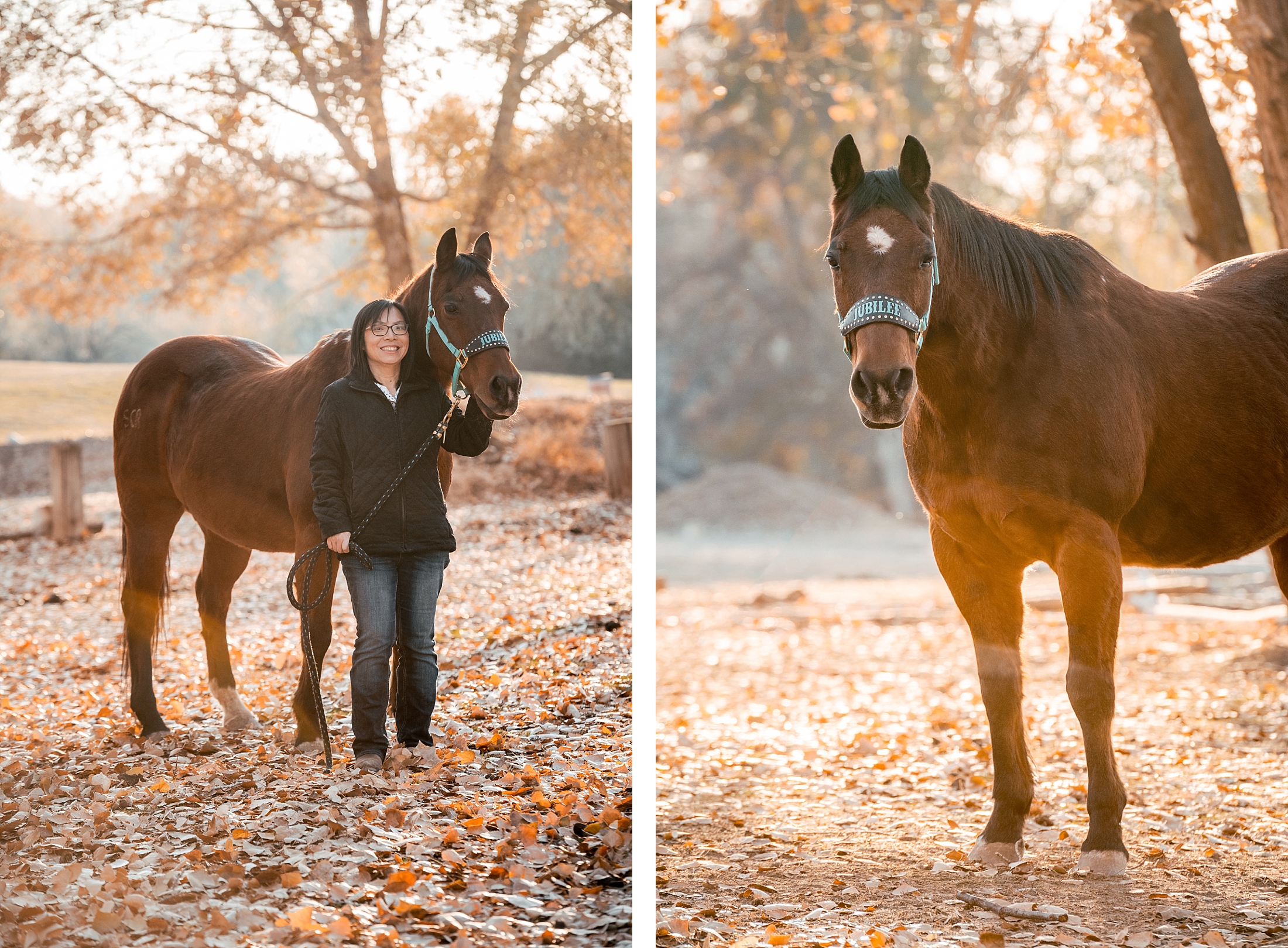 Utah equestrian photographer