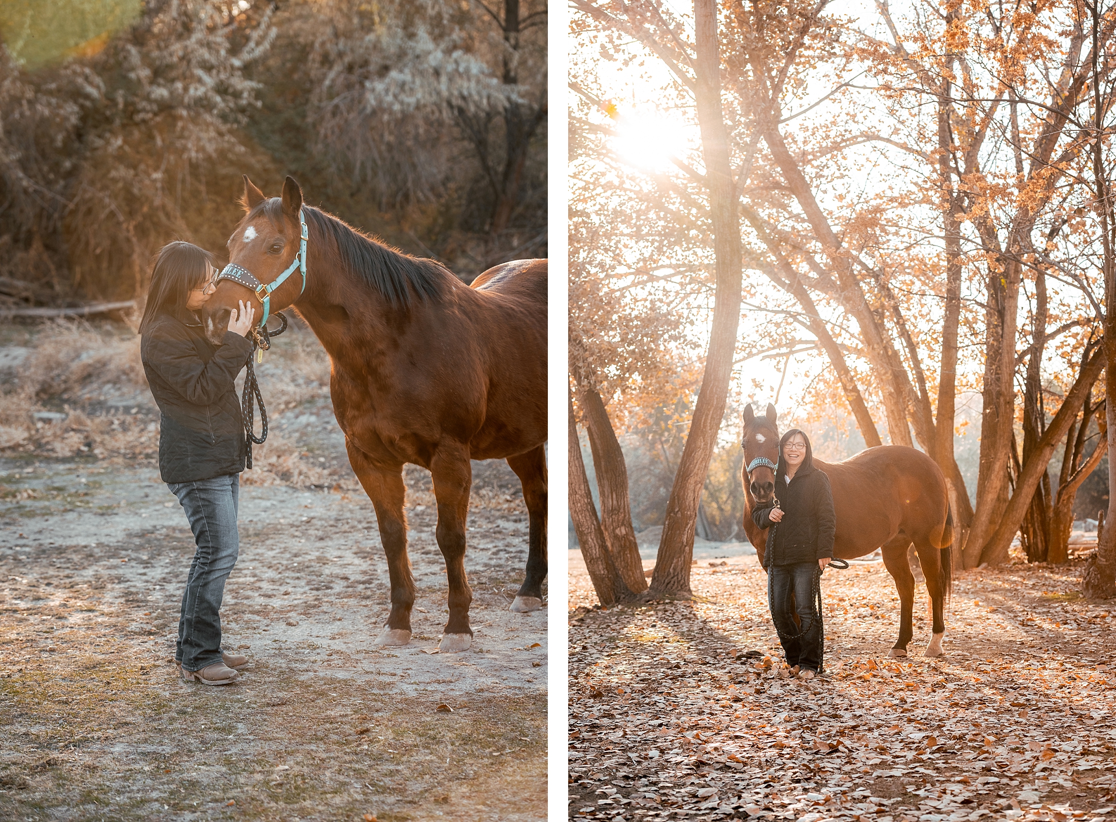 Utah equestrian photographer