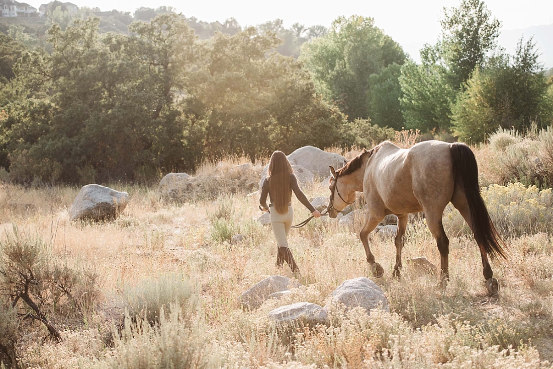 buckskin horse and girl in a field