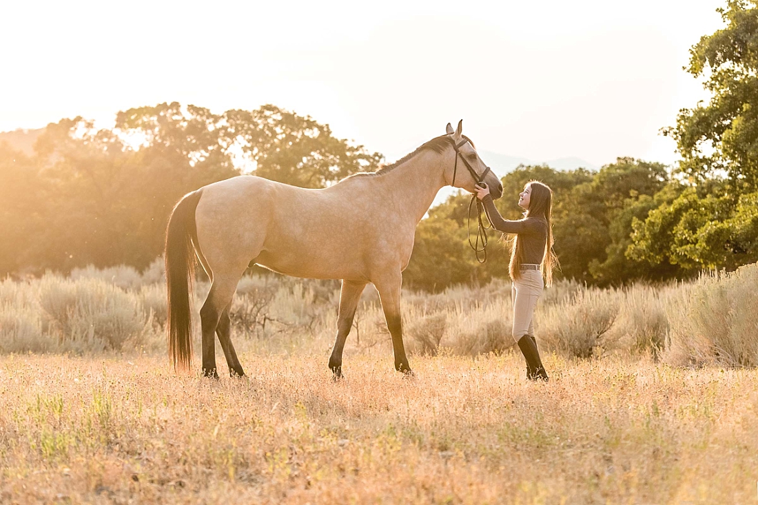 girl and her horse in a summer field with the setting sun
