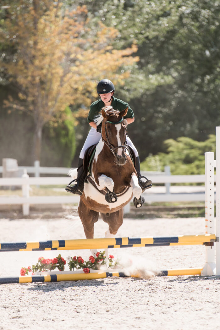 horse show photography