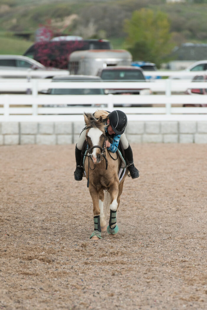 horse show photography