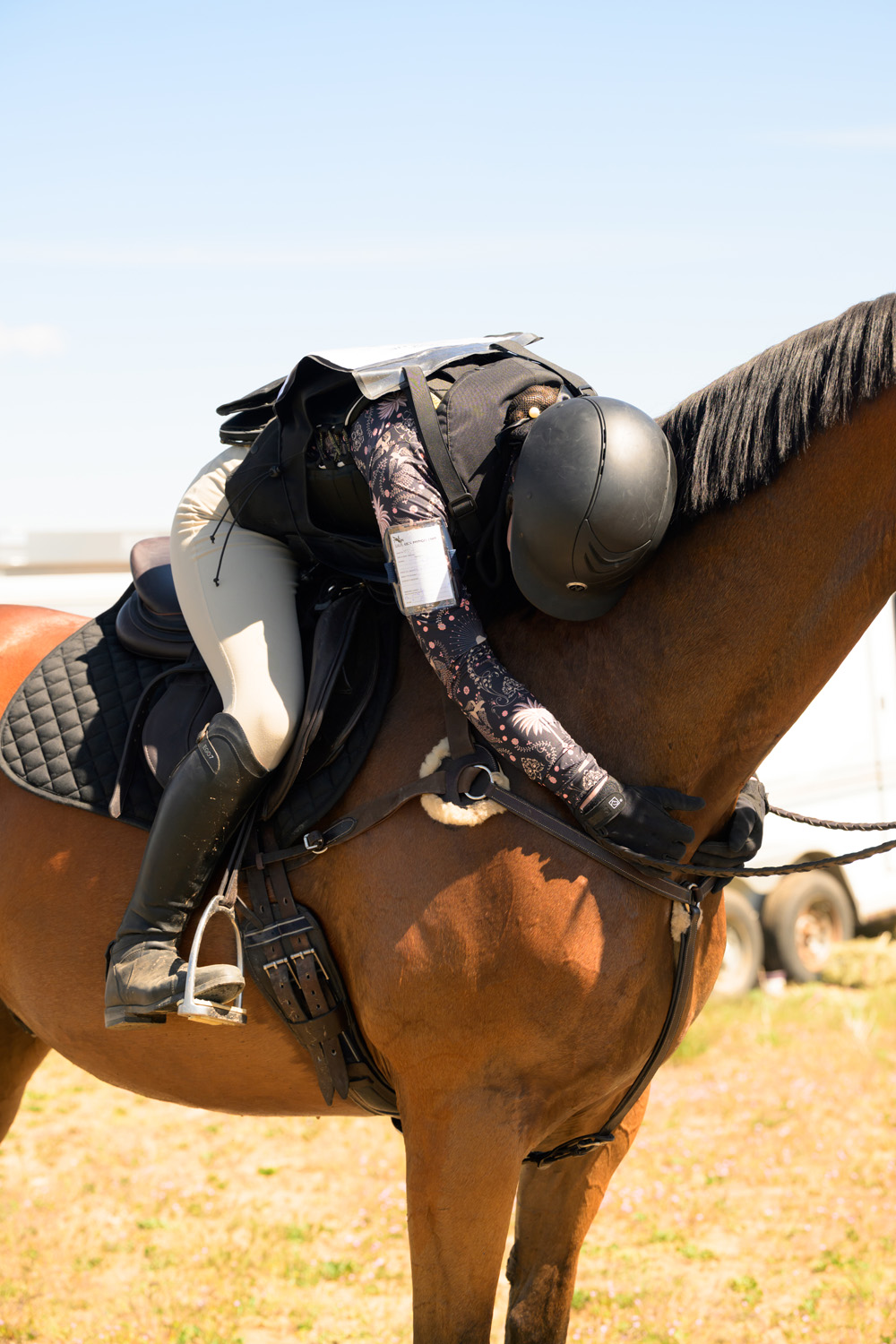 horse show photography