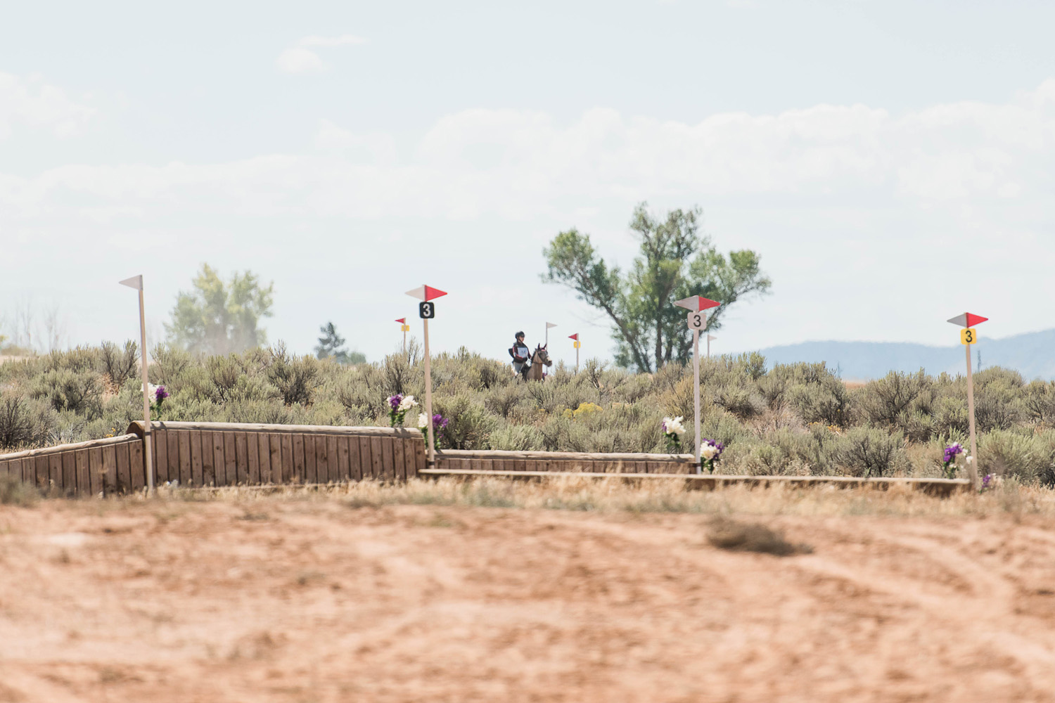 horse show photography, cross country