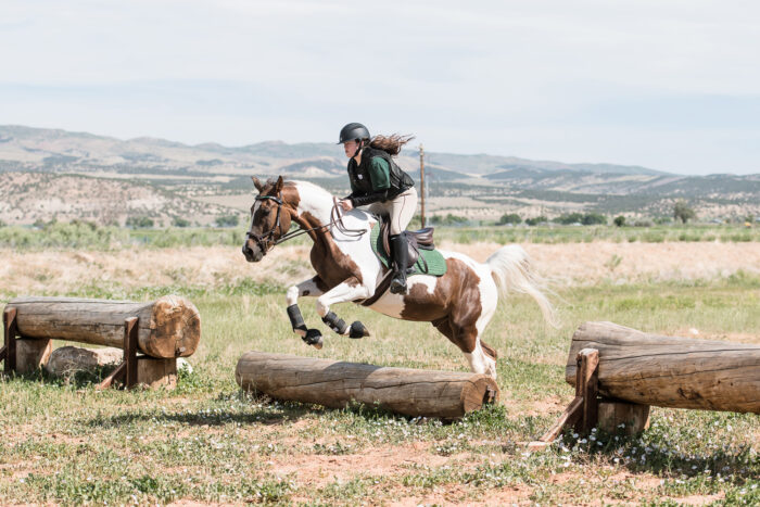 horse show photography, cross country