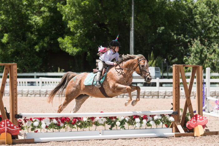 horse show photography, utah equestrian photography