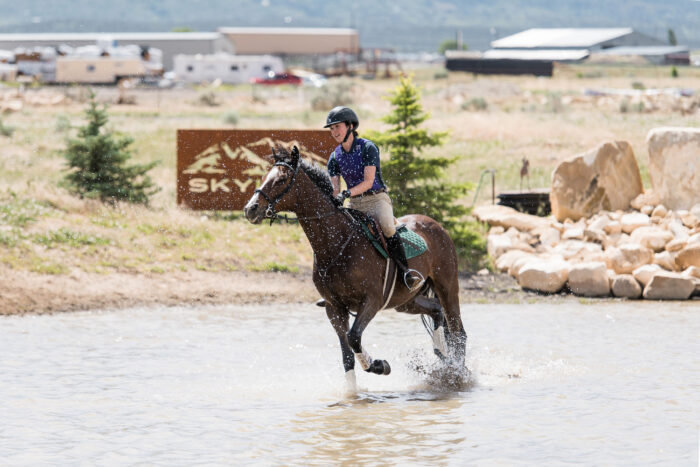 horse show photography
