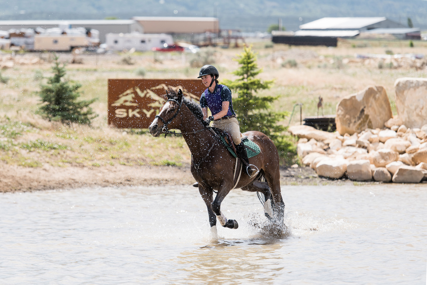horse show photography