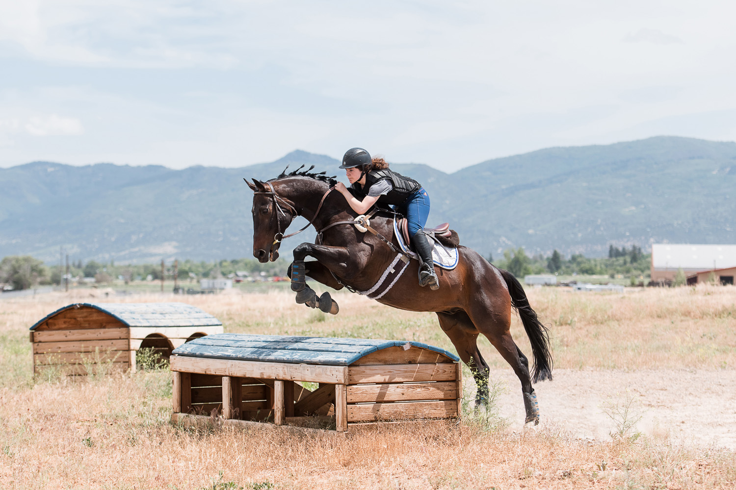 horse show photographer, cross country