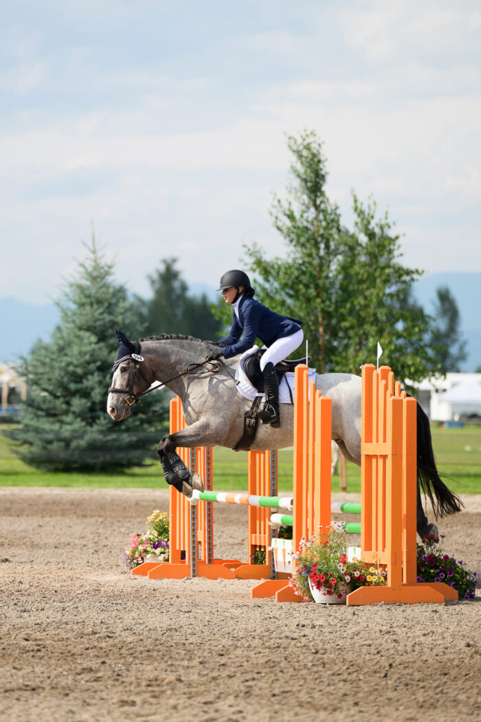 horse show photography, equestrian photography