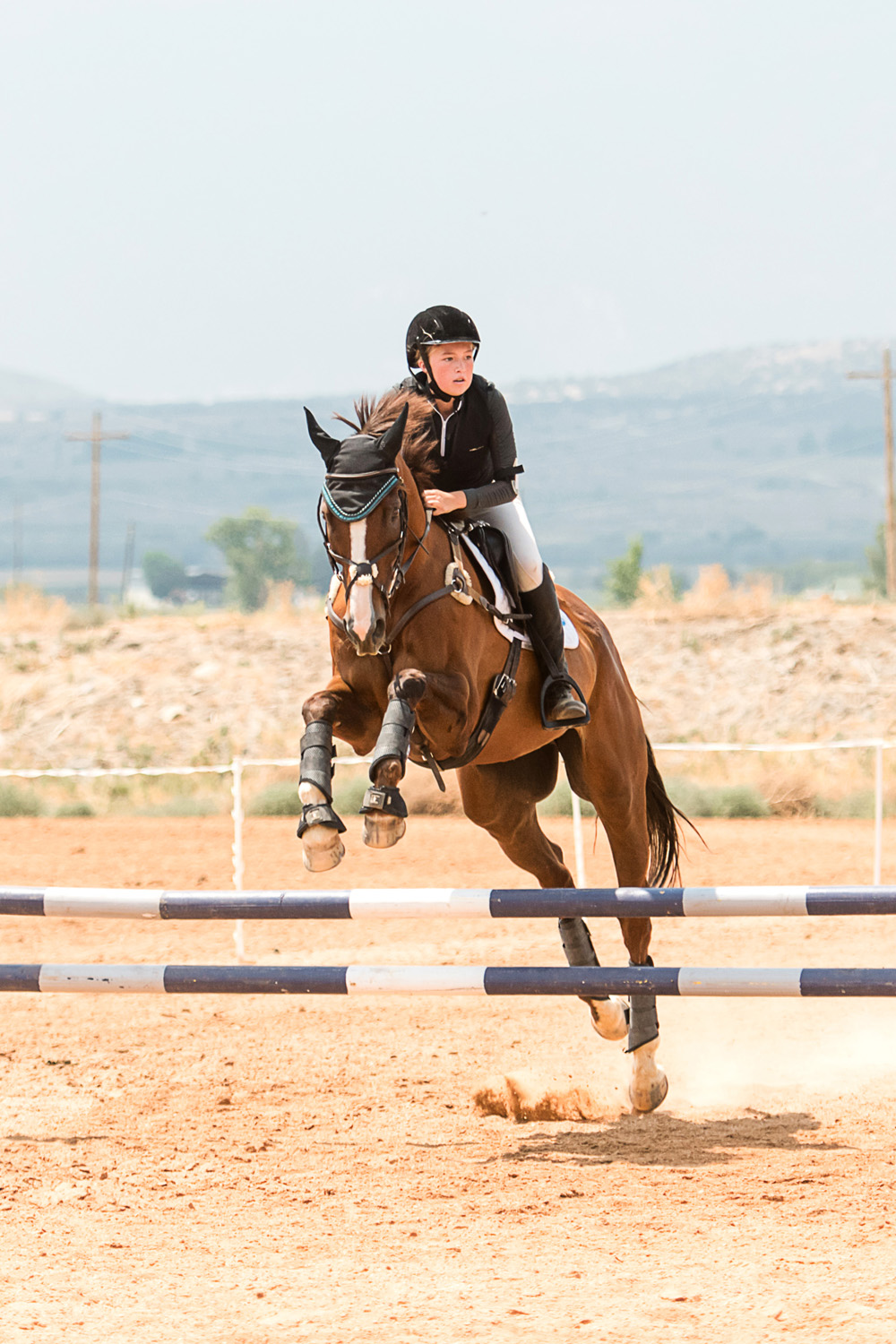 horse show photography, equestrian photography, show jumping