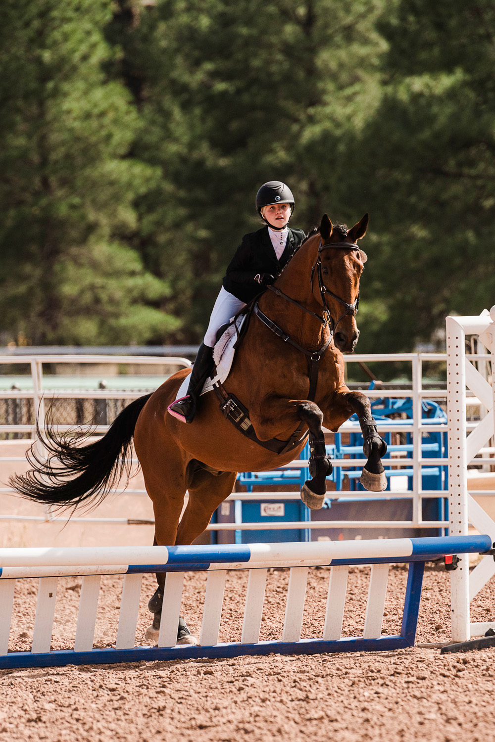 horse show photography