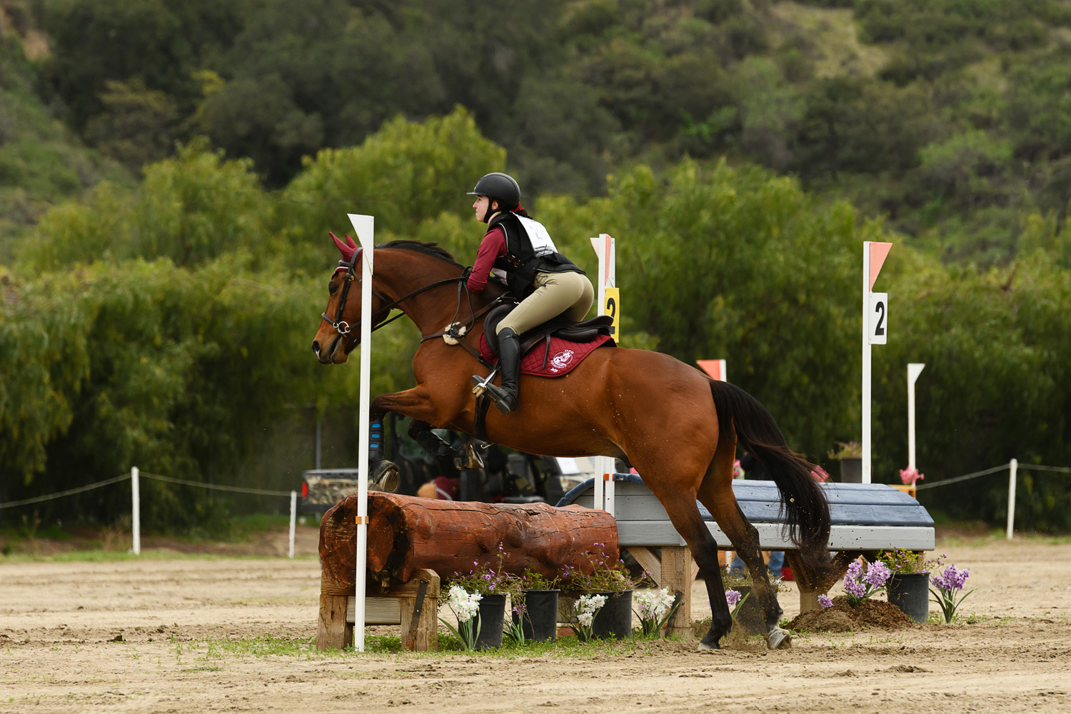 horse show photography