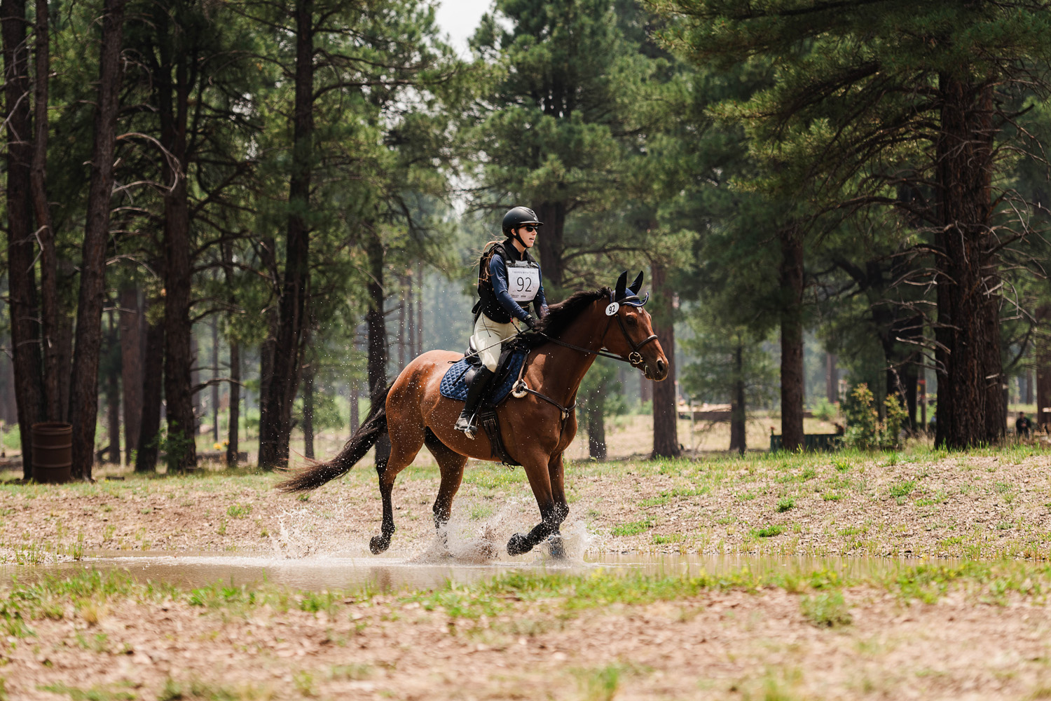 horse show photography, cross country
