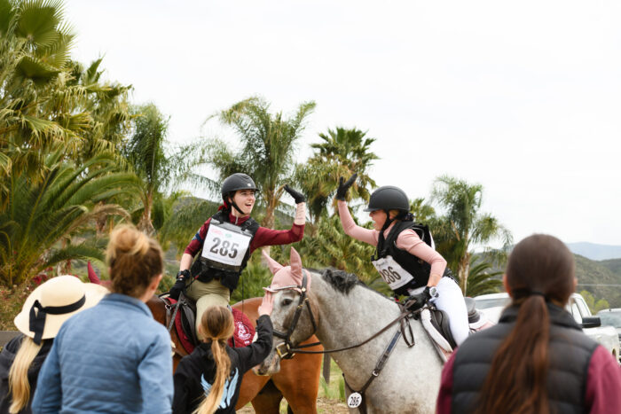 horse show photography, equestrian photography