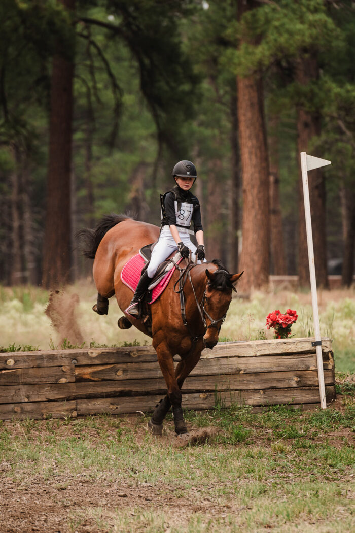 horse show photographer, eventing, equestrian photographer