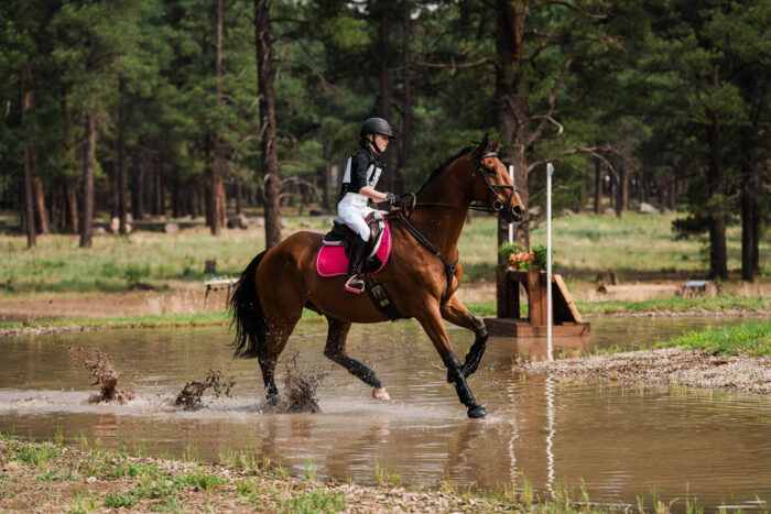 horse show photography, evening photography, cross country