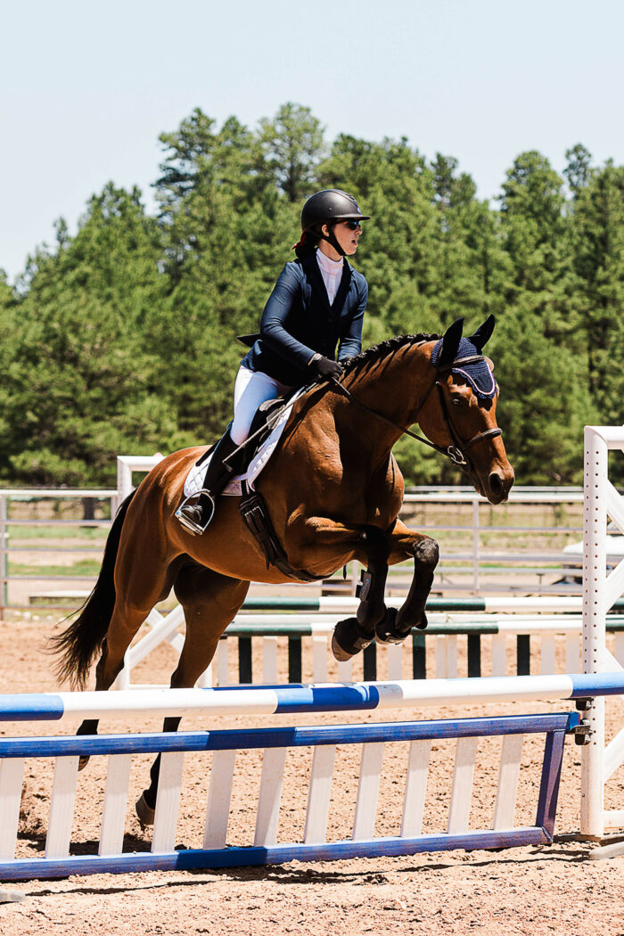 horse show photography