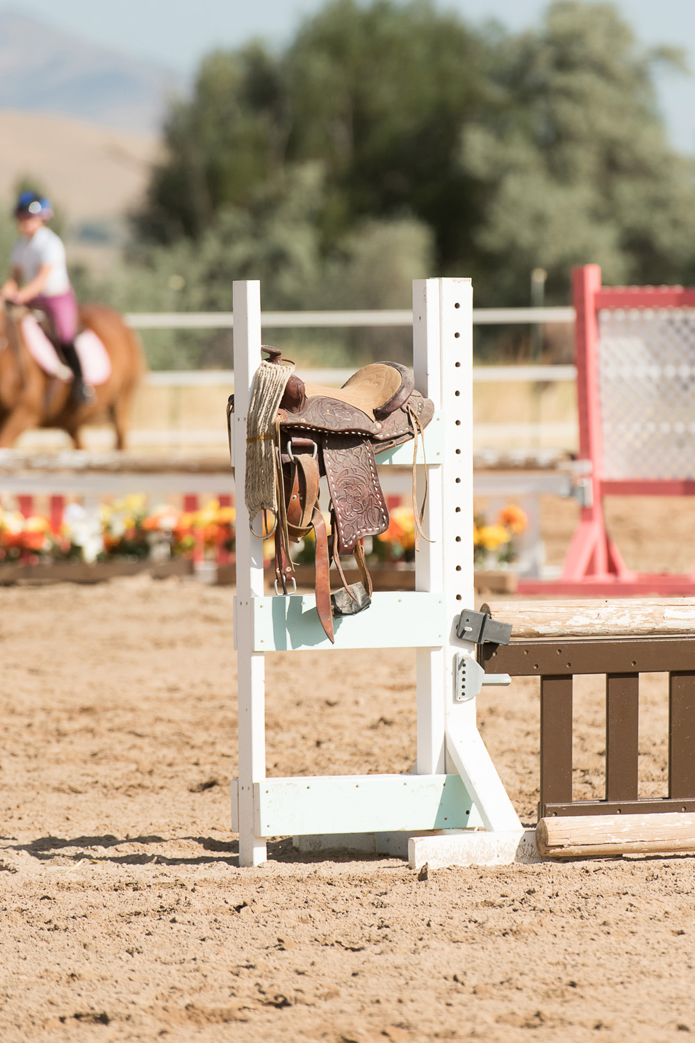horse show photography
