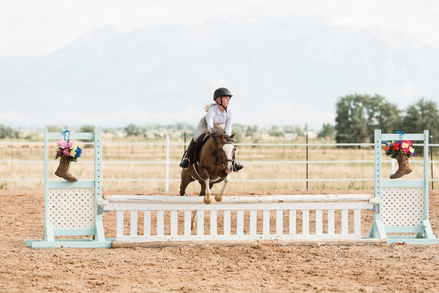 horse show photographer