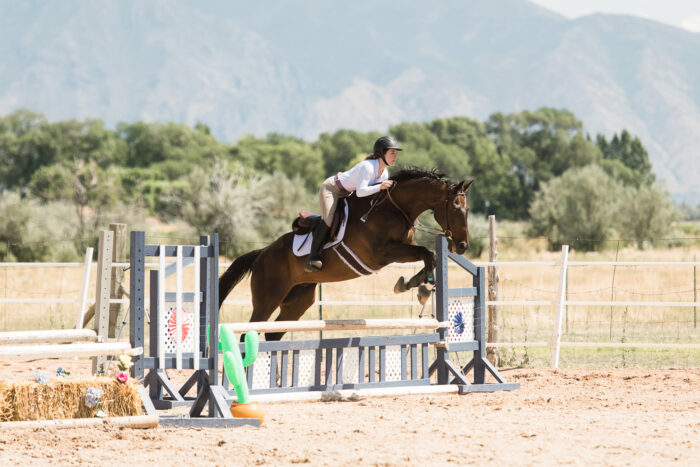 horse show photography