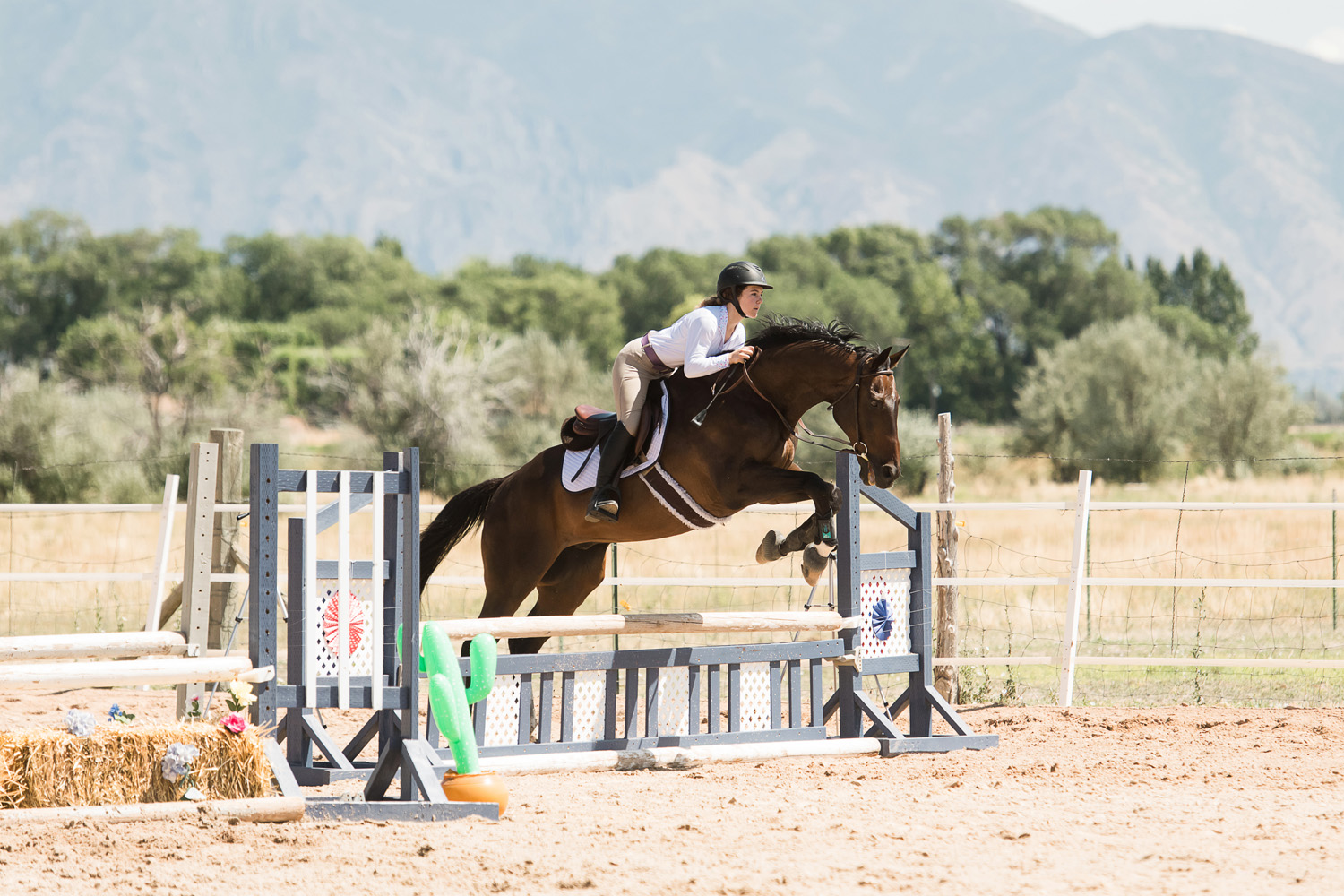 horse show photography