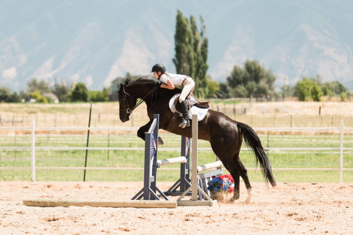 horse show photography, jumpers