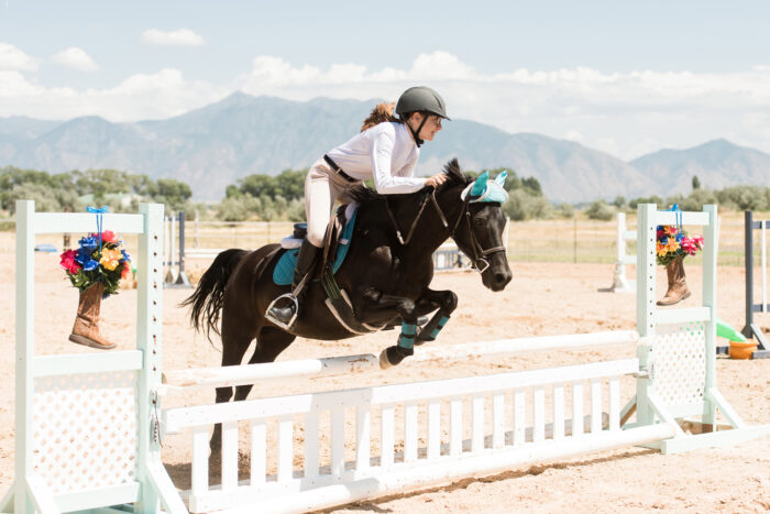 horse show photography, jumpers