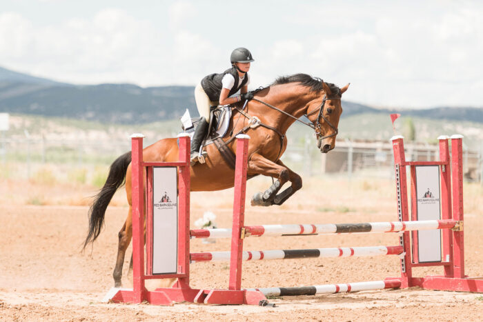 horse show photography