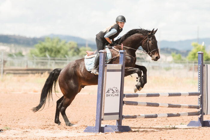 horse show photography, show jump