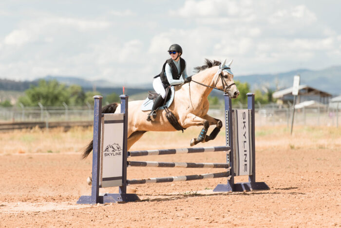 horse show photography