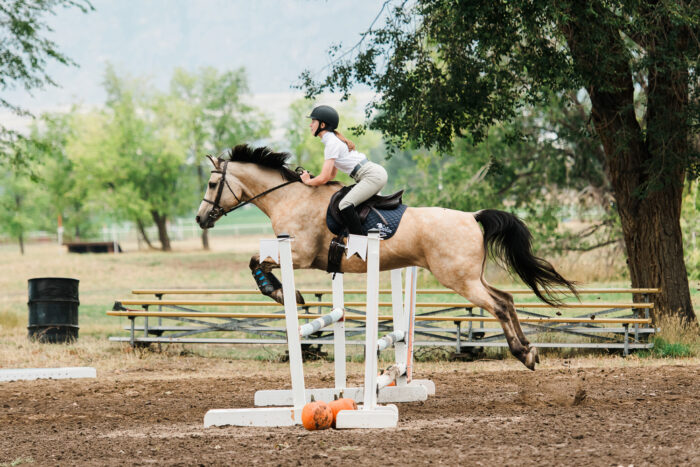 Horse Show Photography, Eventing photography, Equestrian photography