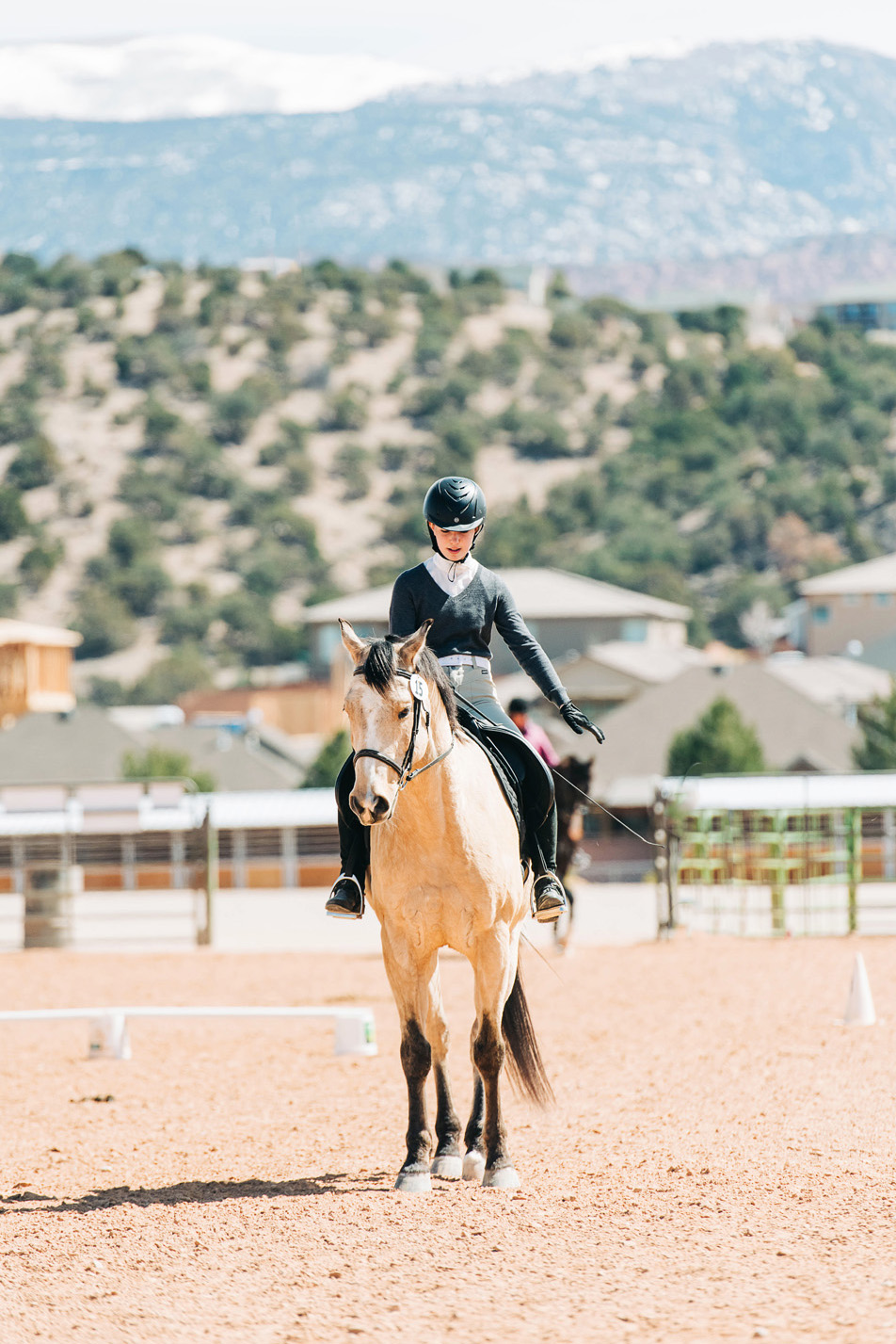 horse show photography