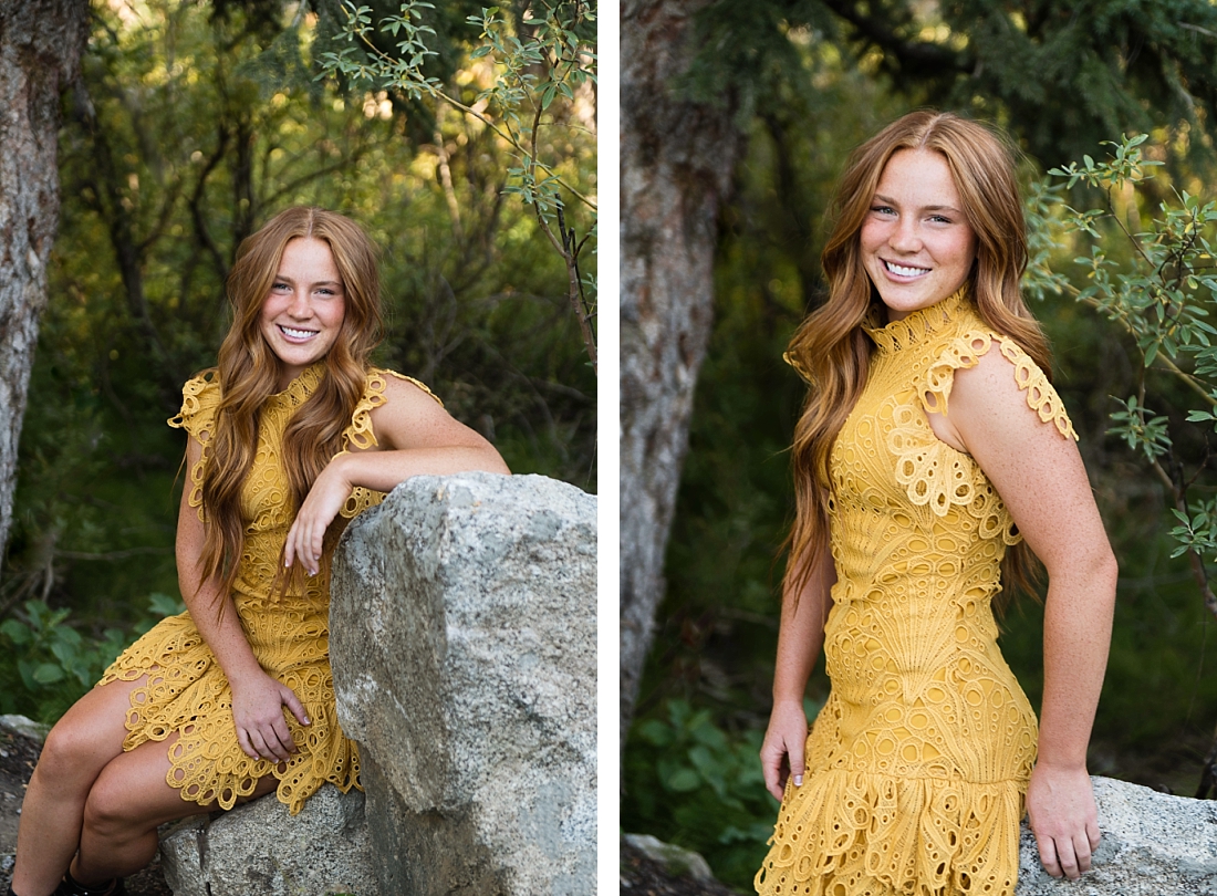 Farmington High School Senior Portraits girl in yellow eyelet dress in pine trees. Amanda Nelson Photography